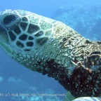 GPS-IMG_1393